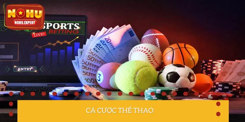 Nhận định về sảnh thể thao