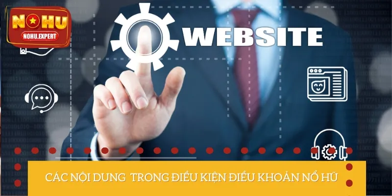 Các nội dung chính có trong điều khoản điều kiện