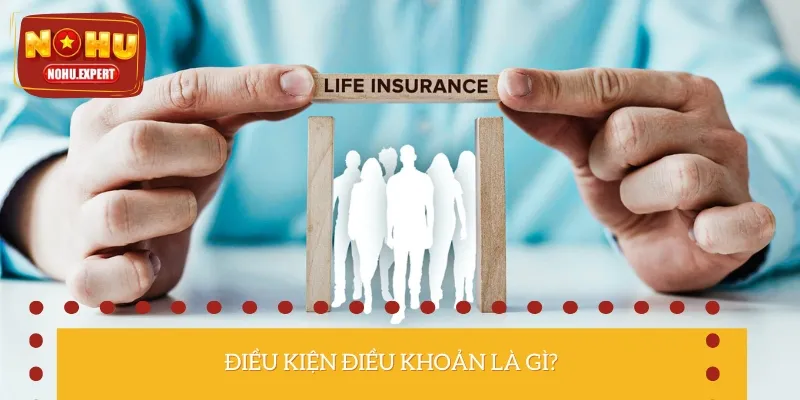 Điều khoản điều kiện là các quy định pháp lý về sử dụng dịch vụ