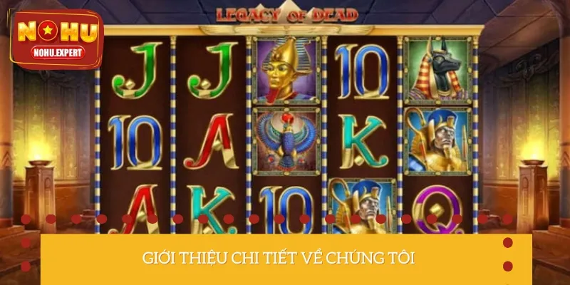 Những thông tin giới thiệu chi tiết cần nắm về chúng tôi