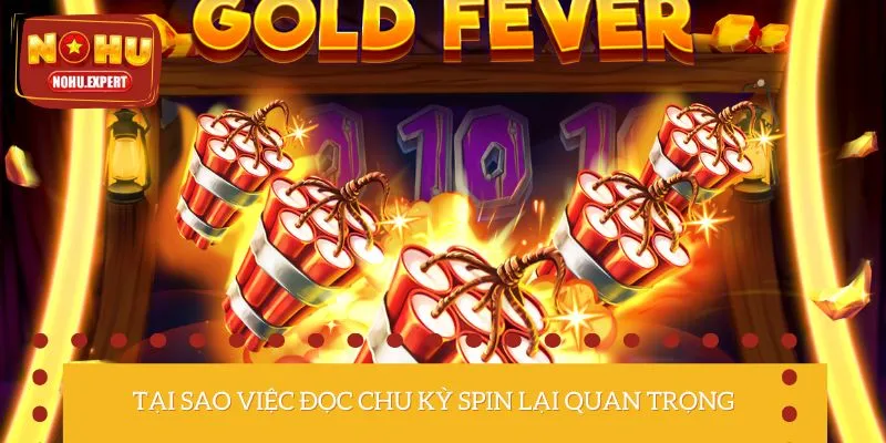 Kinh nghiệm đọc chu kỳ spin có vai trò cực quan trọng